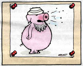 <b>Atchoo!</b> The bearded pig in a turban that could have offended 17% of the prison population. (click for the full-page scan)